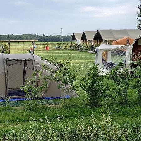 ホテル Thoefijzer Luxere Blokhutten 5 Pers En Mini Camping Zwiggelte エクステリア 写真