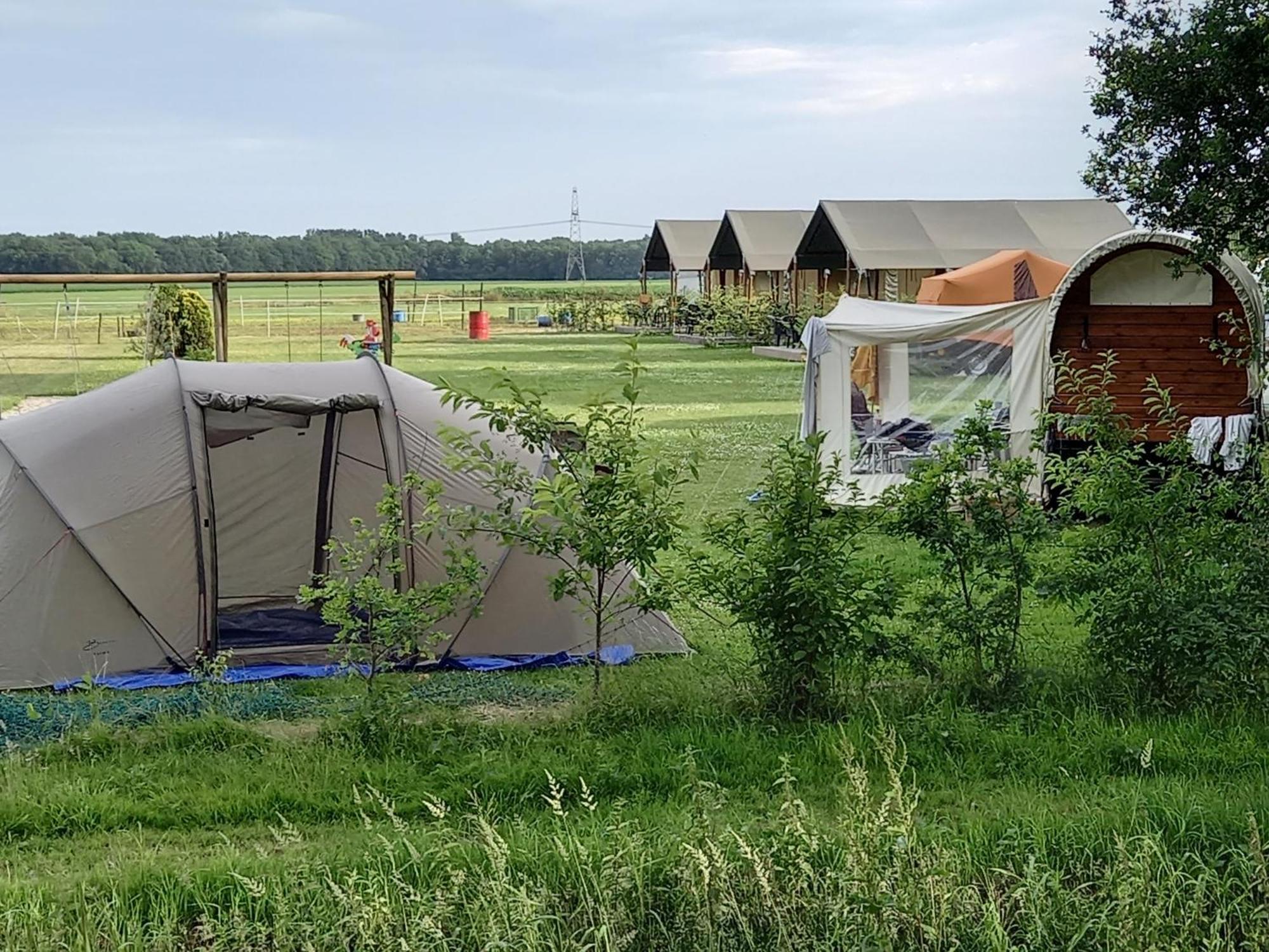 ホテル Thoefijzer Luxere Blokhutten 5 Pers En Mini Camping Zwiggelte エクステリア 写真